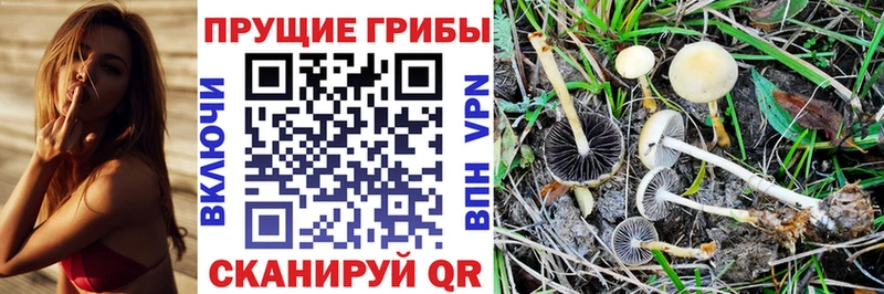 Псилоцибиновые грибы Magic Shrooms  Купить  Белая Калитва 