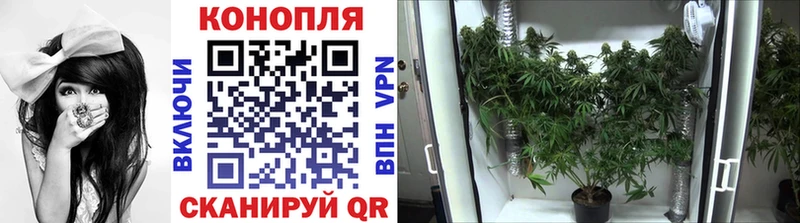 Купить  Белая Калитва  Конопля MAZAR 
